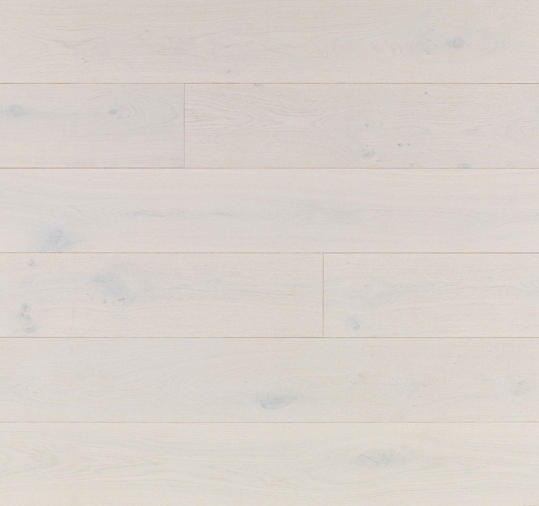 Stellar White oak Orion