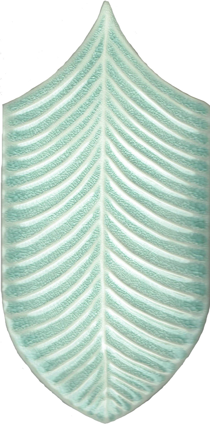 Calathea