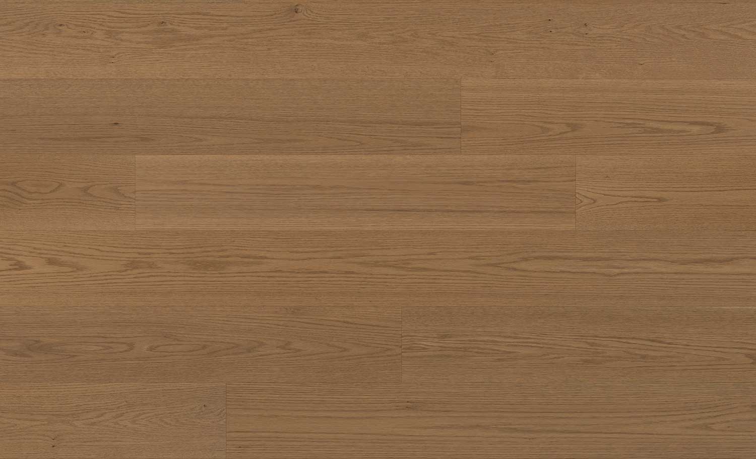 Emblem Chêne Legend