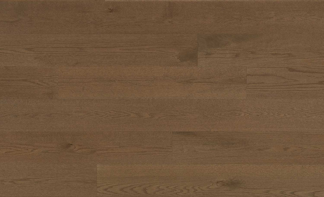 Emblem Oak Symbol