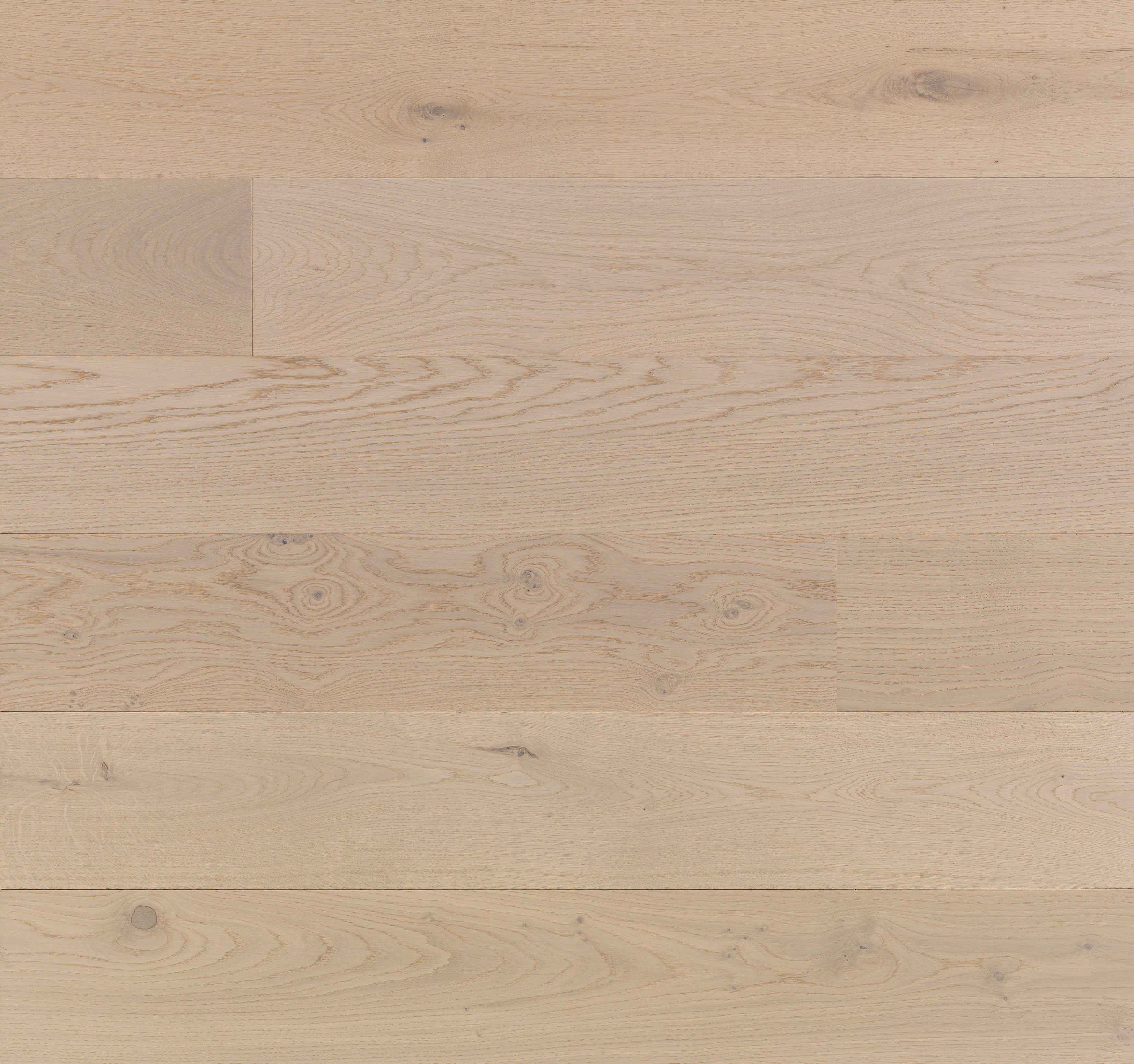 Stellar White oak Lyra