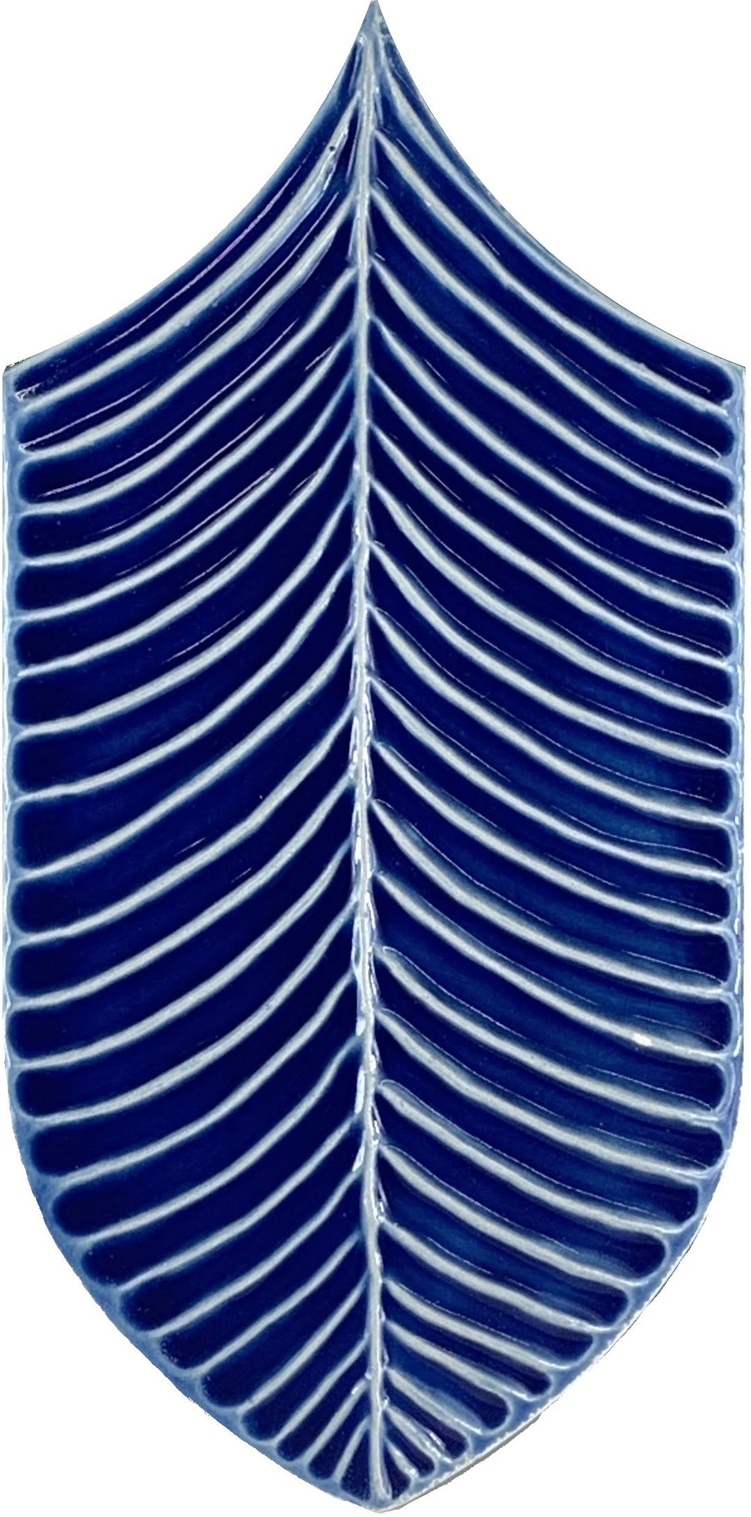 Calathea