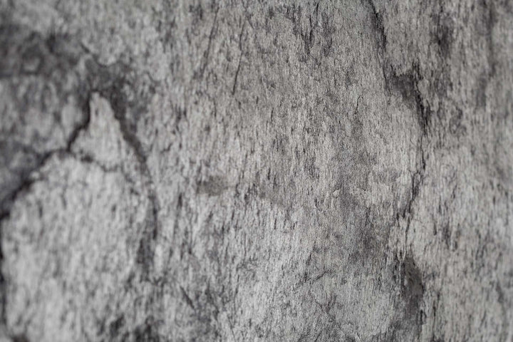 Revêtements muraux pierres laminées Métal | Lanctôt Couvre-Sol Design